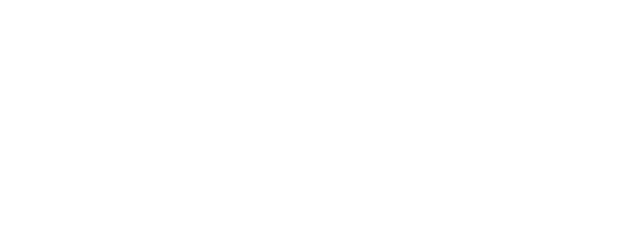 holi-de-a1-logo-weiss